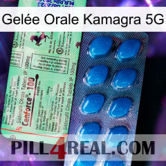 Gelée Orale Kamagra 5G new02